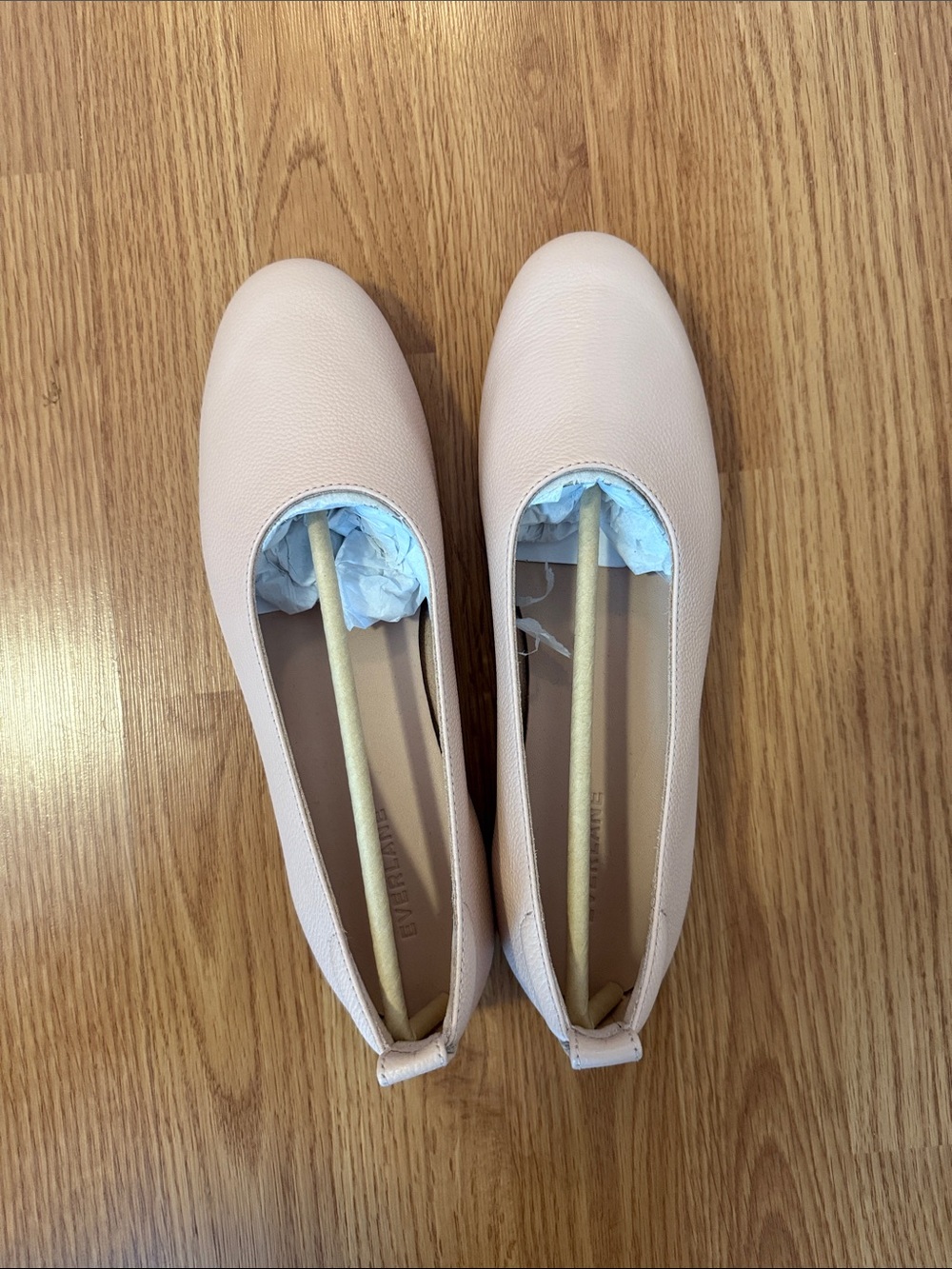 Everlane Day Glove Ballet Flats in Light Pink